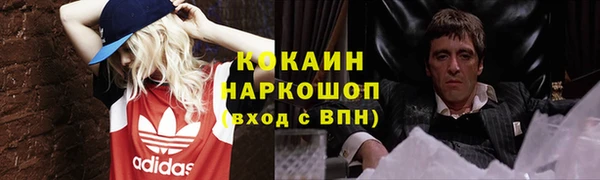 мяу мяу мука Аркадак