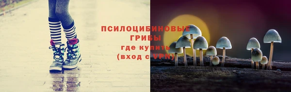 мяу мяу мука Аркадак
