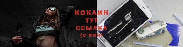 мяу мяу мука Аркадак