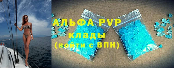 мяу мяу мука Аркадак