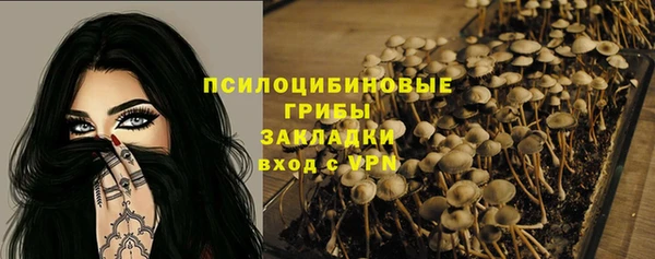прущие крисы Тутаев